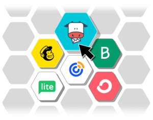 Omnisend vs Klaviyo vs Mailchimp 2025: Which Email Marketing Platform Wins for E-Commerce?
